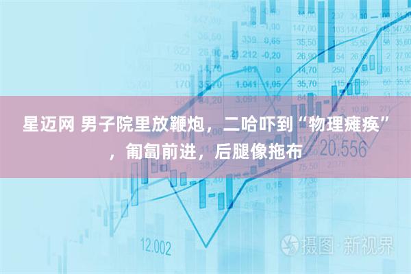 星迈网 男子院里放鞭炮，二哈吓到“物理瘫痪”，匍匐前进，后腿像拖布