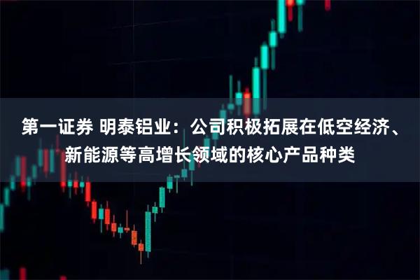 第一证券 明泰铝业：公司积极拓展在低空经济、新能源等高增长领域的核心产品种类