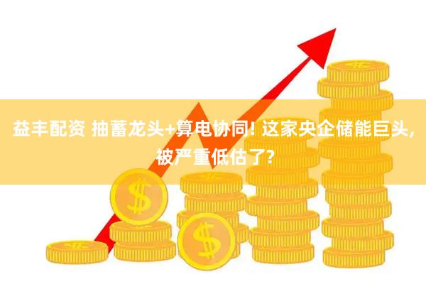 益丰配资 抽蓄龙头+算电协同! 这家央企储能巨头, 被严重低估了?