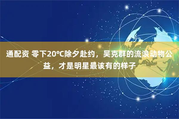 通配资 零下20℃除夕赴约，吴克群的流浪动物公益，才是明星最该有的样子