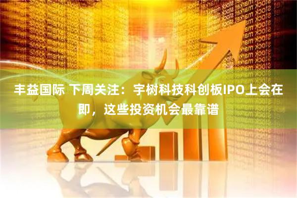 丰益国际 下周关注：宇树科技科创板IPO上会在即，这些投资机会最靠谱