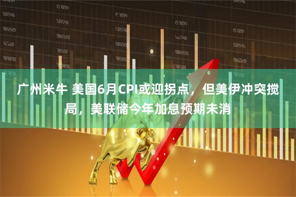 广州米牛 美国6月CPI或迎拐点，但美伊冲突搅局，美联储今年加息预期未消